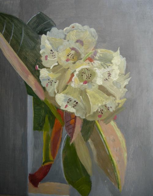 Rhododendron 2012 20x20cm
